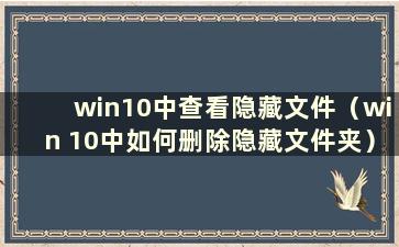 win10中查看隐藏文件（win 10中如何删除隐藏文件夹）